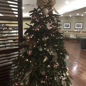 Meet your Posher, Juan